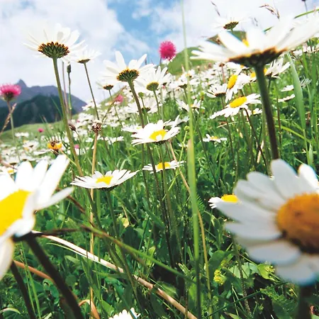 ホテル Garni Muttler Alpinresort & 4*