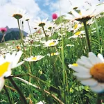 Hotel Garni Muttler Alpinresort & 4*