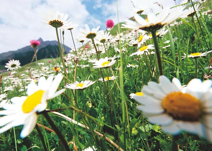 Hotel Garni Muttler Alpinresort & 4*